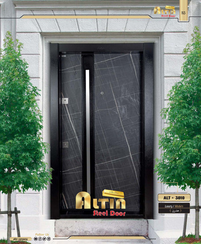 ALT 3010